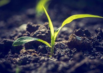 Agrarinvestment Agrarinvestment