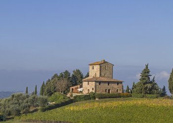 Weingut kaufen Weingut kaufen