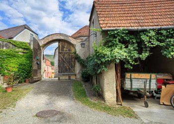 Weingut kaufen Weingut kaufen